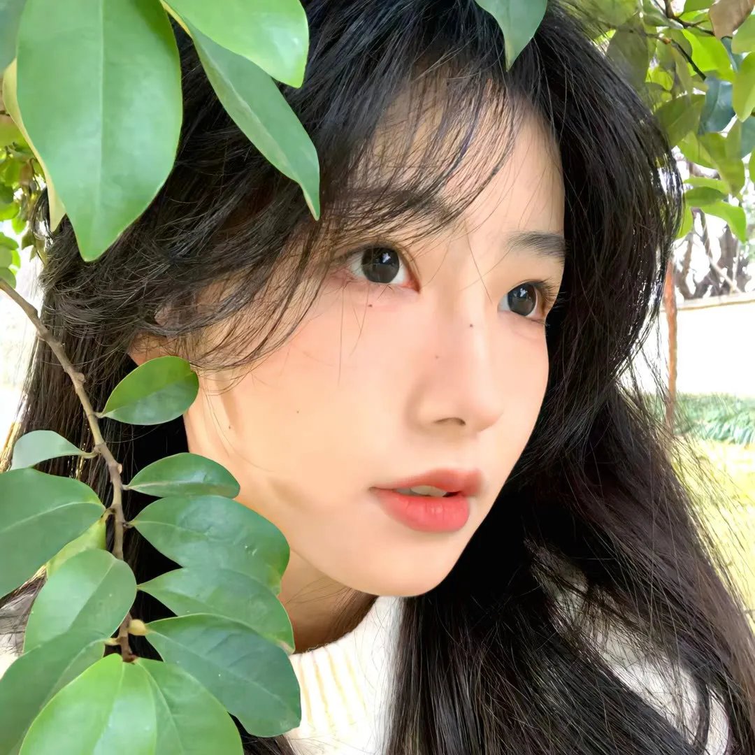 高山上的热气球